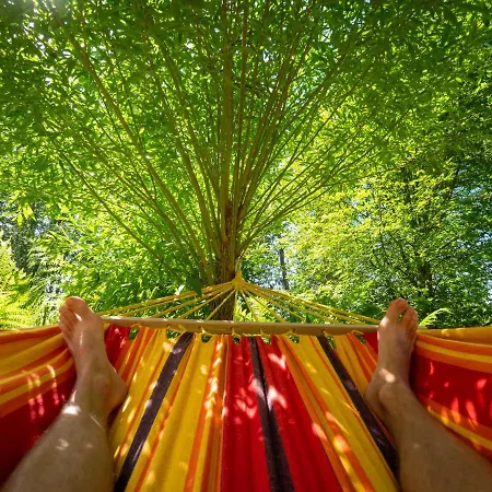Nature *